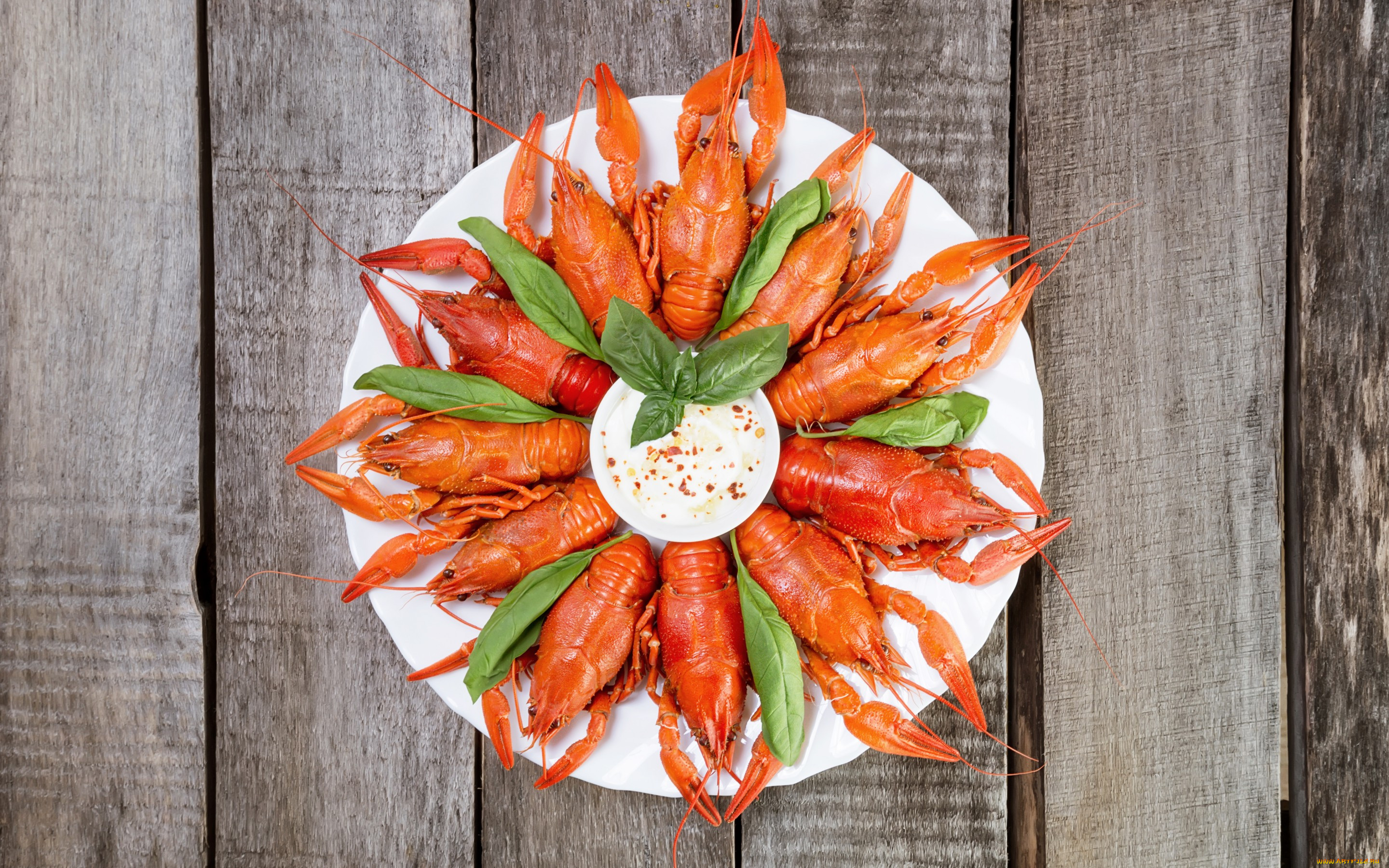 , ,  ,  ,  , cancer, crayfish, , , , sauce
